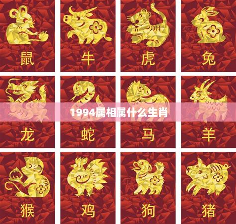 1994生肖|1994年属什么生肖 1994年出生是什么命